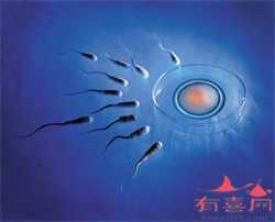 上海助孕中心,怀孕34周，是怀孕的第几个月你想