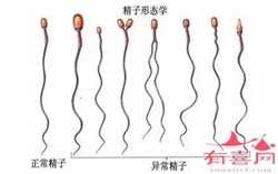 上海代孕医生咨询_怎样能检查出来是否怀孕比较