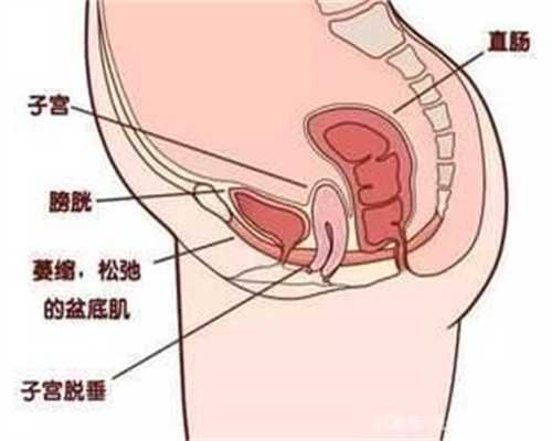 上海代孕怎么上户口-我要找个代孕女人_从新型冠状病毒肺炎的治愈情况一窥泰