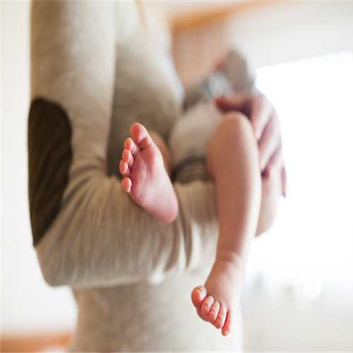 代孕生孩子价格-上海代孕生儿子多少钱_卵子畸形对泰国试管婴儿成功率的影响
